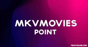 MKV Movies Point